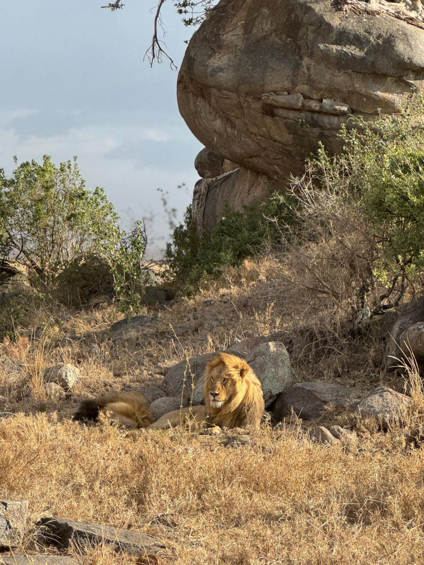 Serengeti National Park