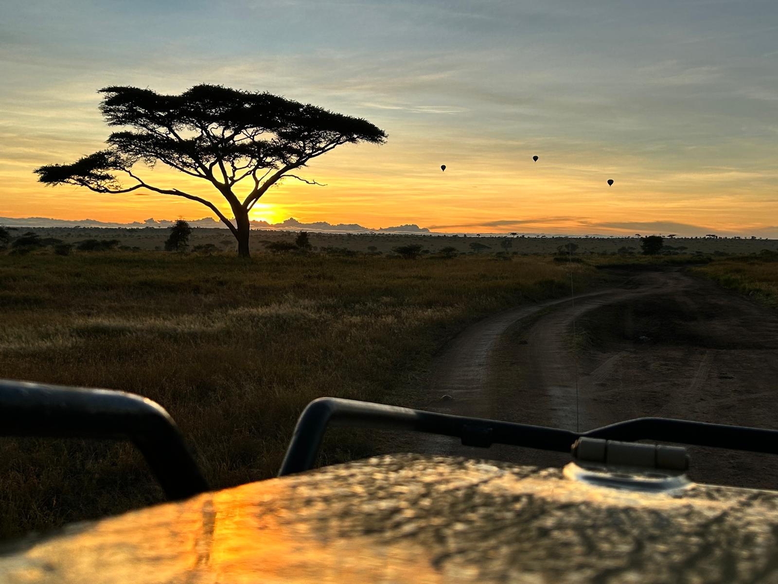 Serengeti Balloon Safari